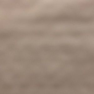 Meet your Posher, Maya